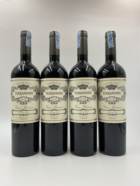 Terra Noble Gran Reserva Cabernet Sauvignon