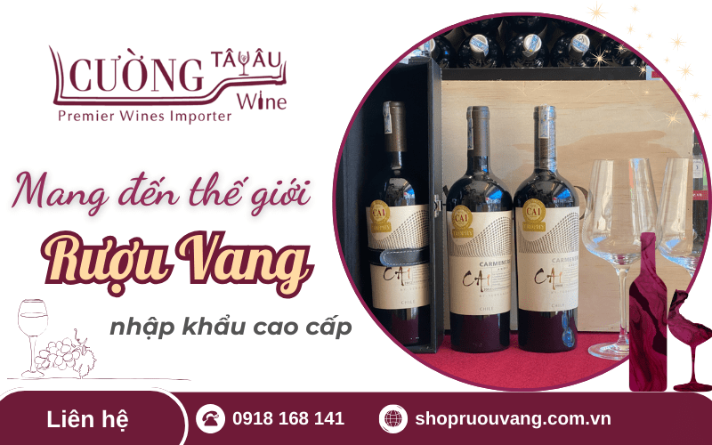 Khám phá thế giới rượu vang nhập khẩu cao cấp tại Cường Tây Âu Wine